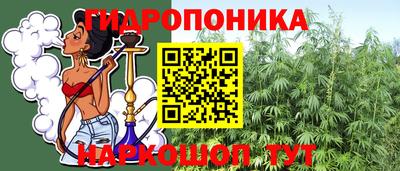 СК Донецк