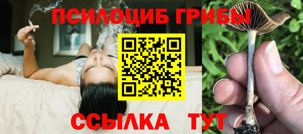 Псилоцибиновые грибы MAGIC MUSHROOMS  Вход с VPN  Киржач 